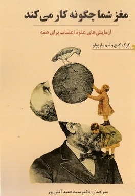 مغز شما چگونه کار می کند